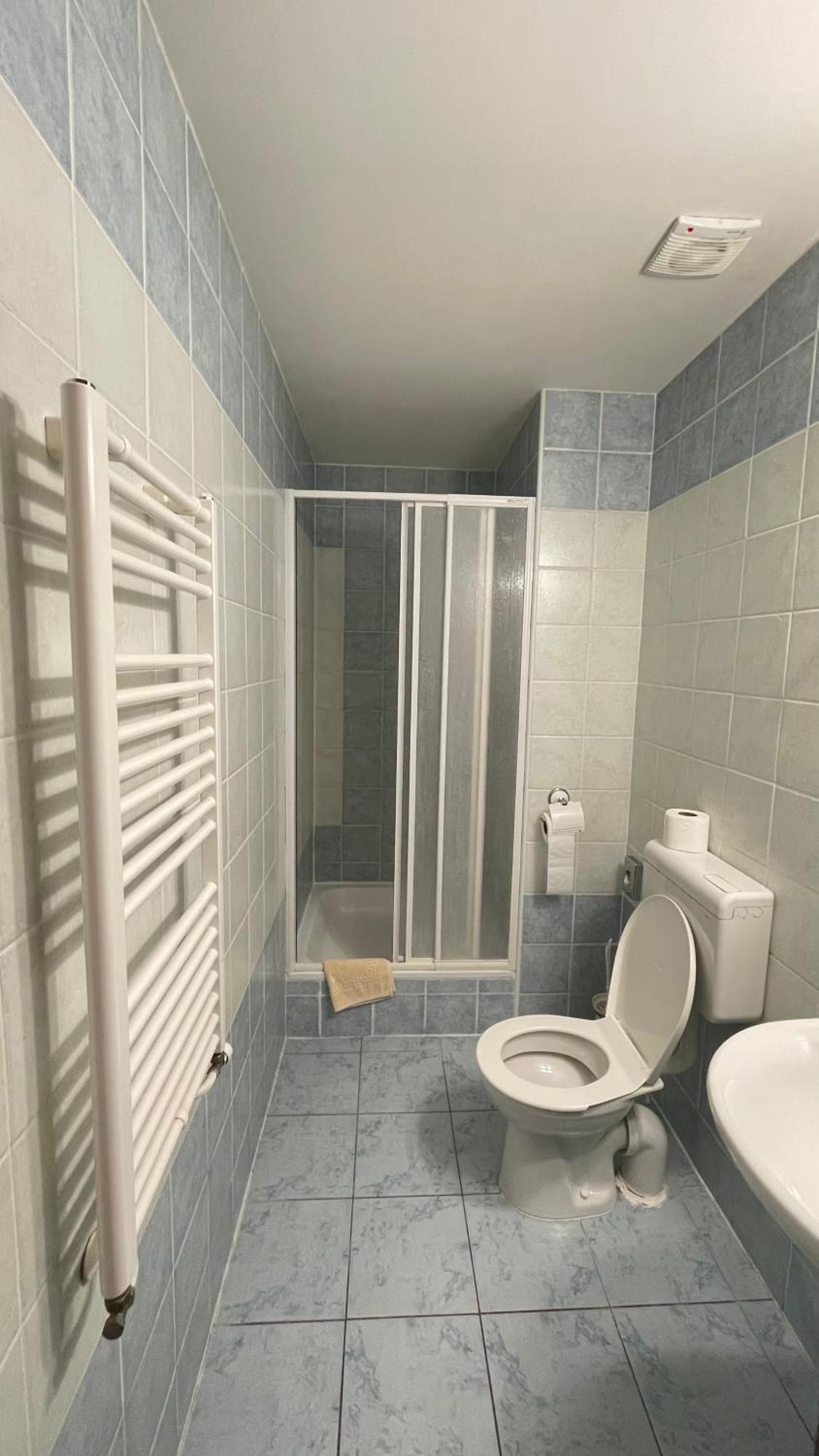 Hotel Cerny Orel Zatec Esterno foto