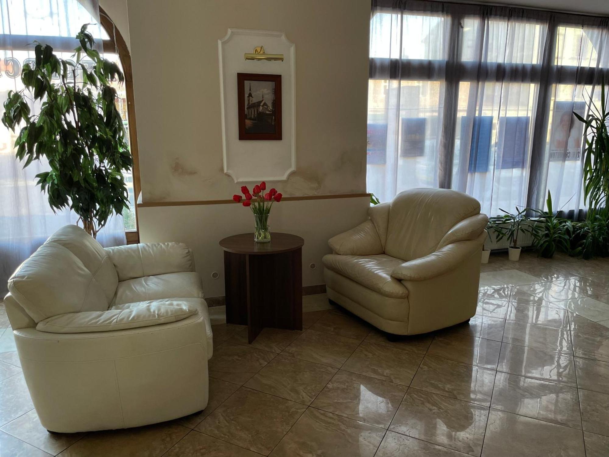 Hotel Cerny Orel Zatec Esterno foto