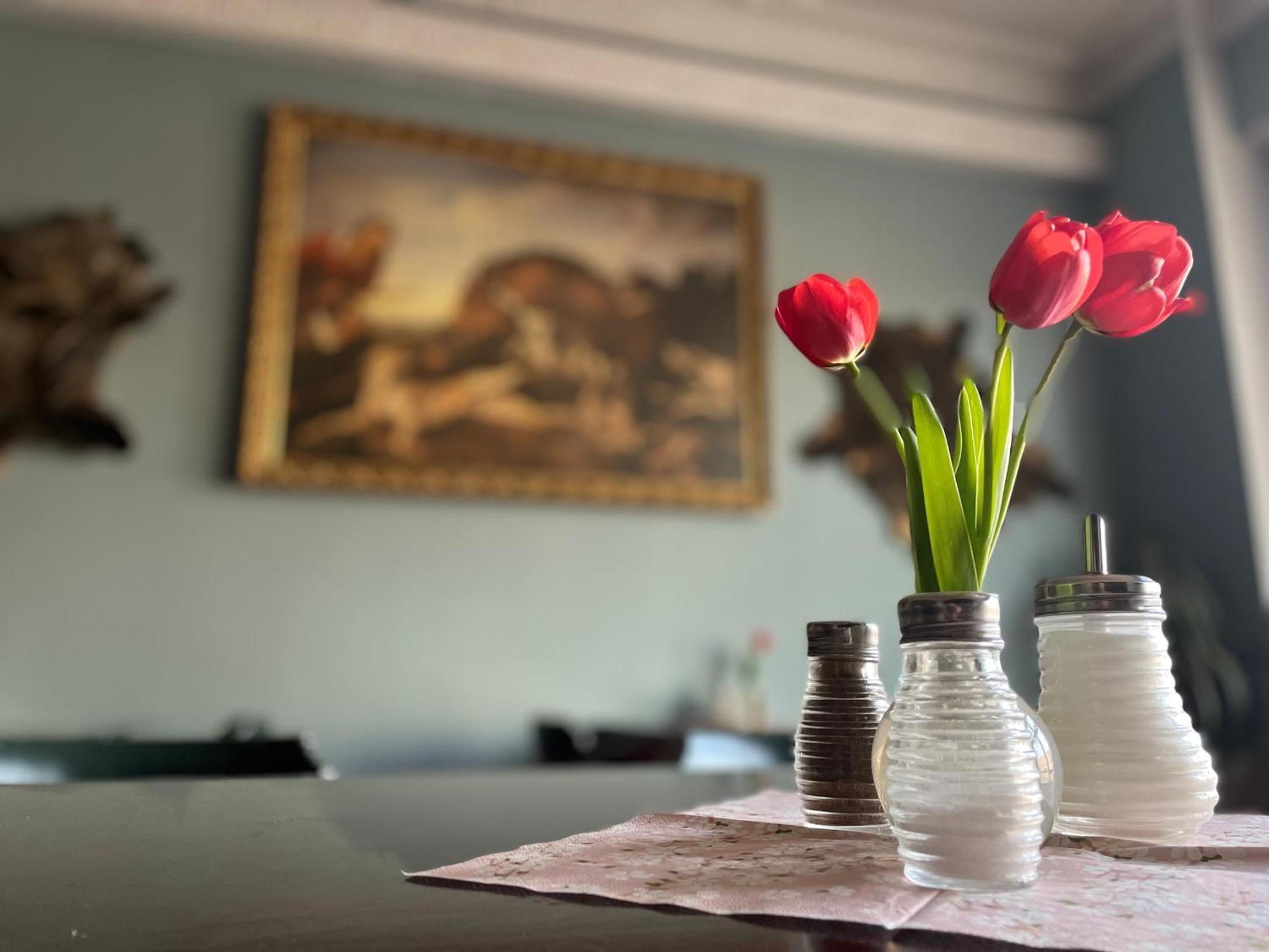 Hotel Cerny Orel Zatec Esterno foto