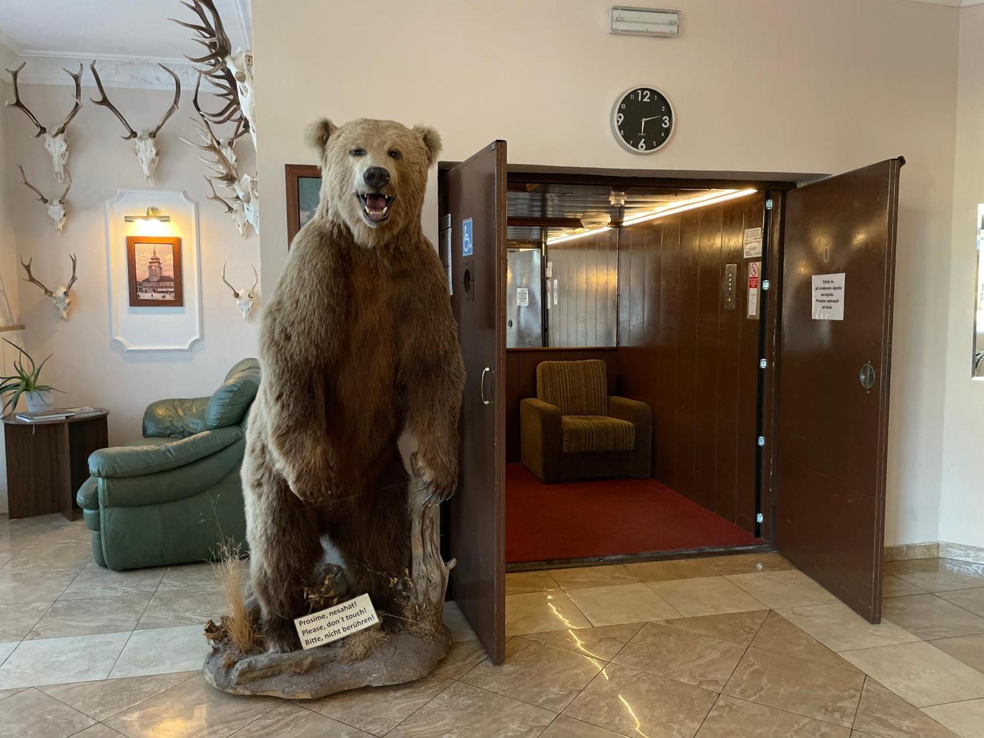 Hotel Cerny Orel Zatec Esterno foto